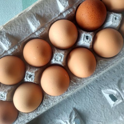 Farm Fresh Egg Share