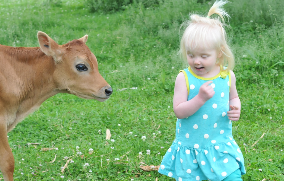 Farm Tour