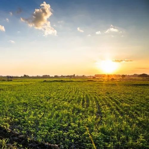 Farm Tour + Photo Opps!