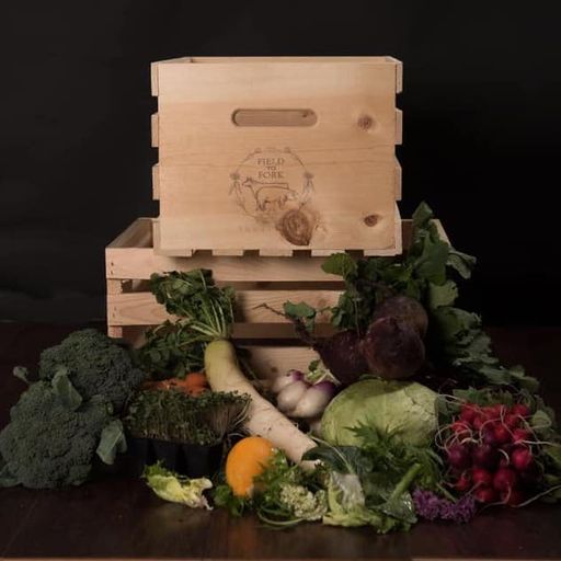 Pick-Your-Own Produce Box