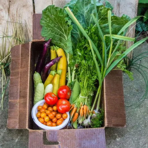 2026 Summer Customizable CSA