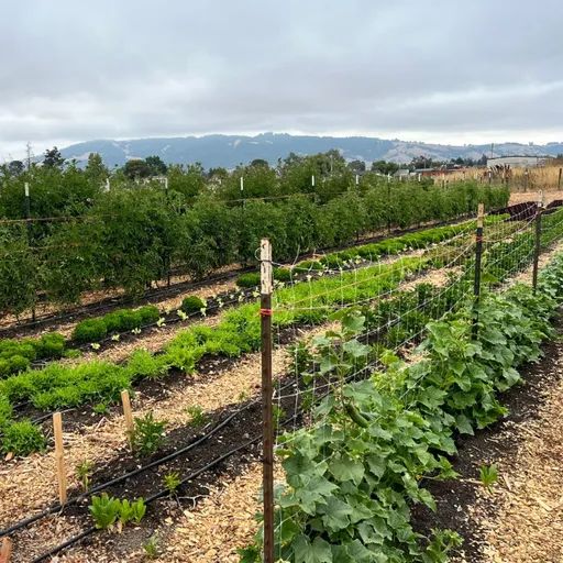 Bring-a-Bottle Dinner on the Farm