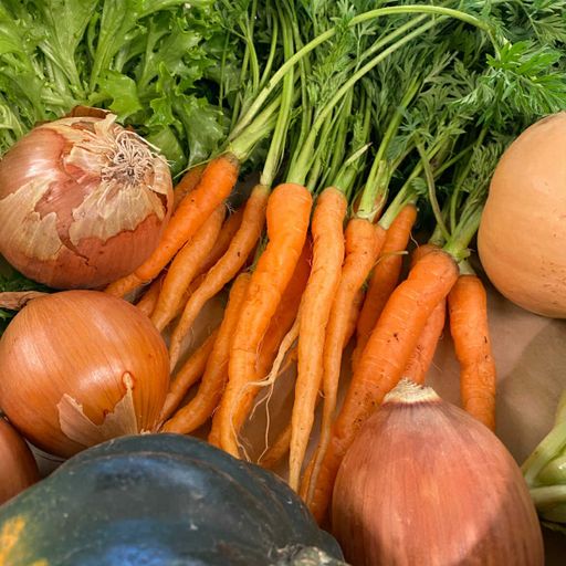 2026-2027 Winter CSA