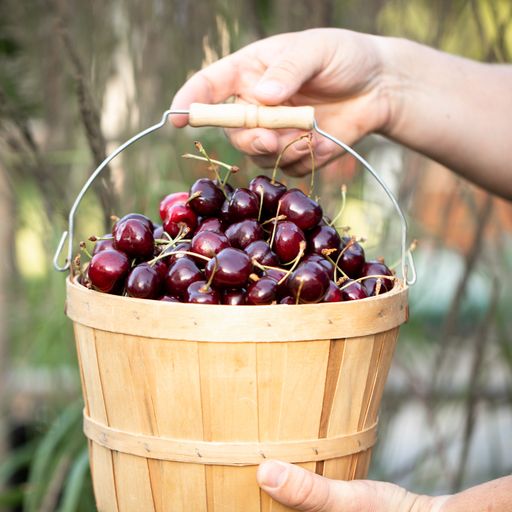 2026 Fruit Basket Add-On Share