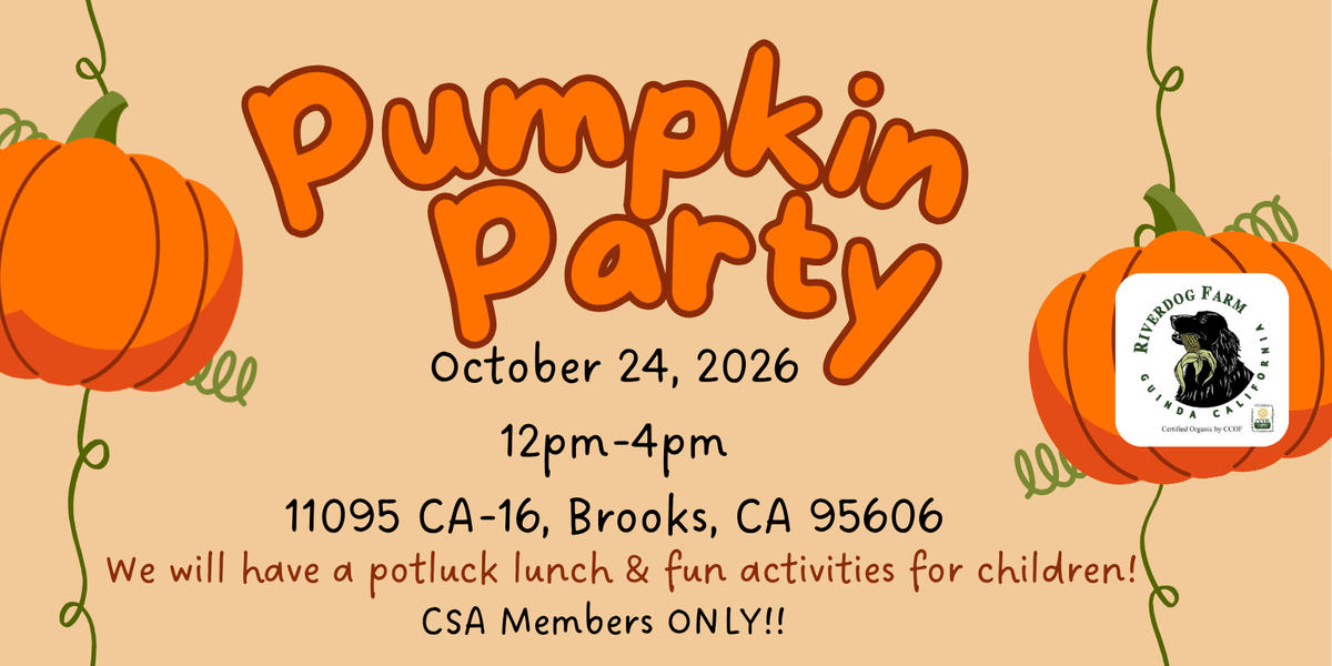 Annual Pumpkin Party!