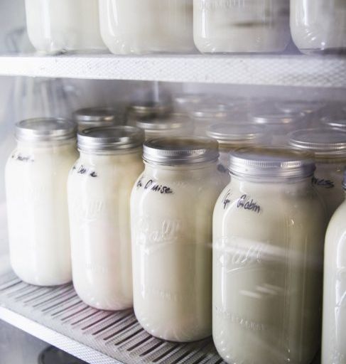 Hope Springs Dairy Raw Milk Herdshare