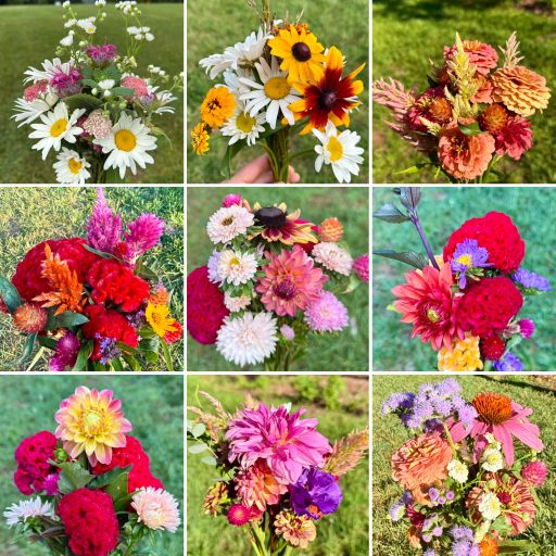 2026 Tenacious Agrarians Flower Share