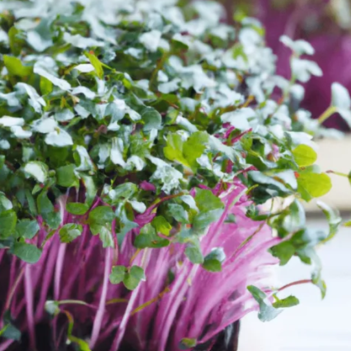 2026 Microgreens Add-On Share