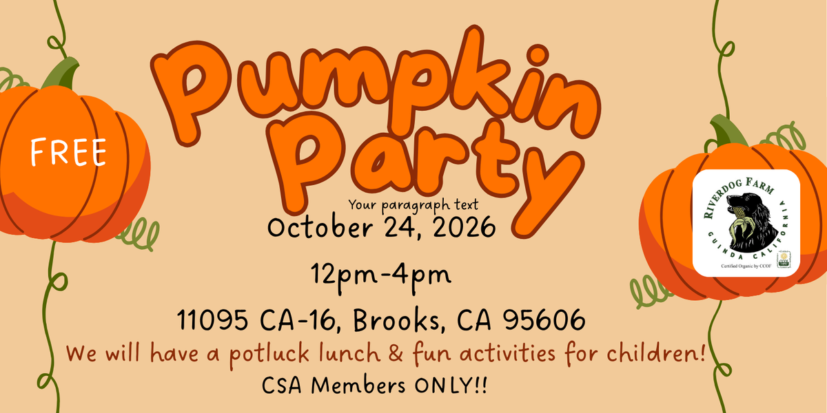 Annual Pumpkin Party!