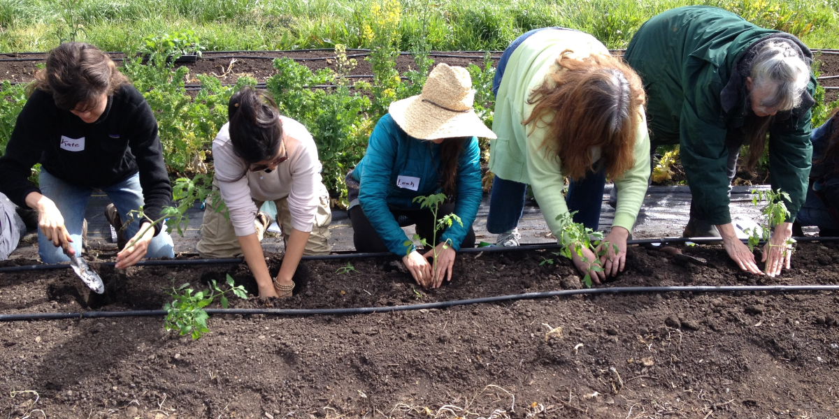 Home Farmer Autumn Single Session 9/12