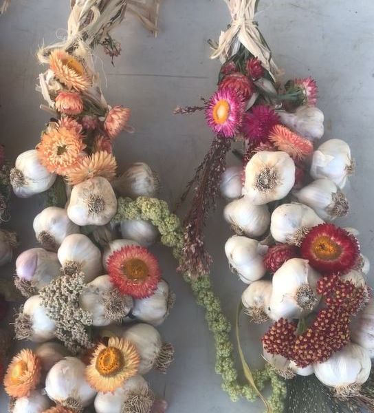 Garlic Braiding Workshop