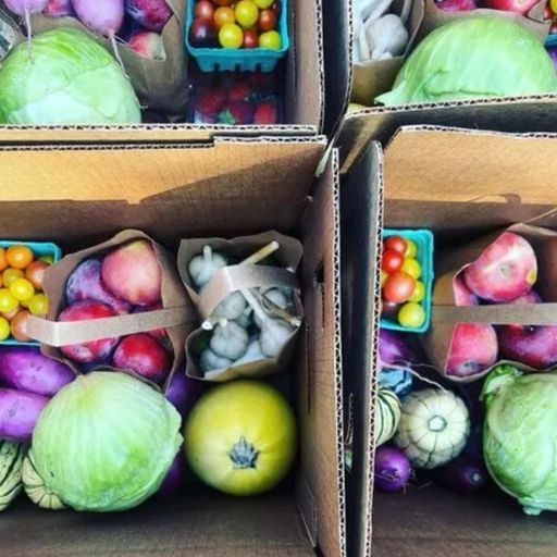 Solidarity Share: donate to help fund sliding scale shares for those in need - All Season