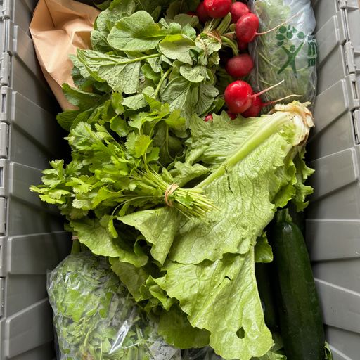 2026 Millsap Farms Customizable Food Share