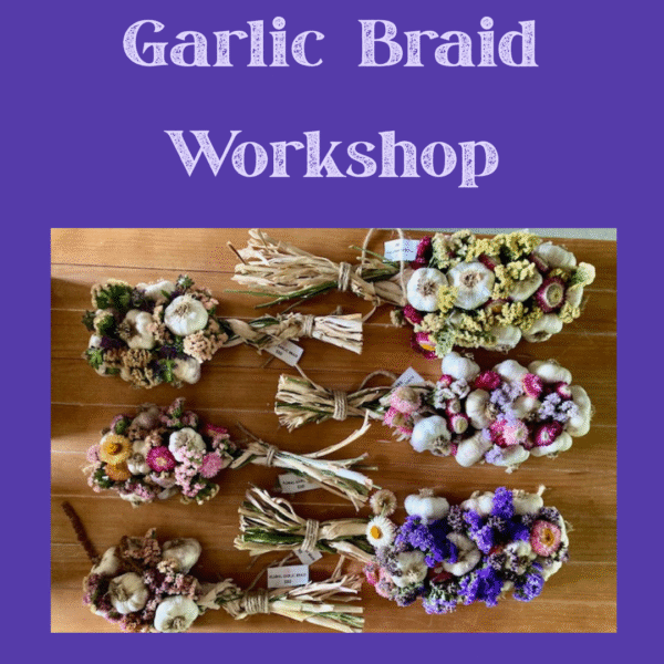 Garlic Braid Workshop