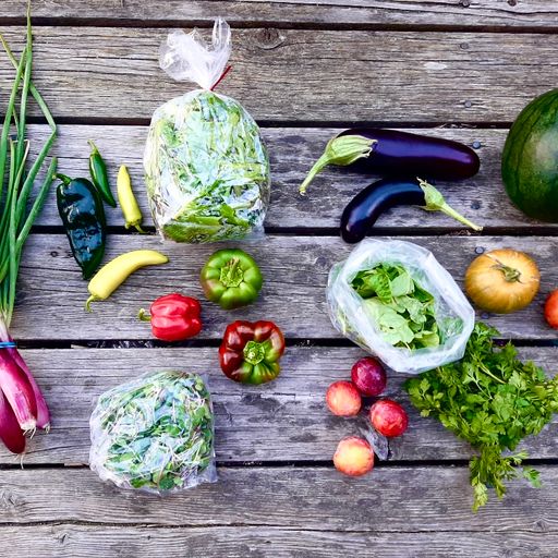 Casa Cano Year Round Seasonal Produce Box