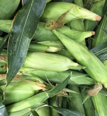 2026 Corn Add-On Share