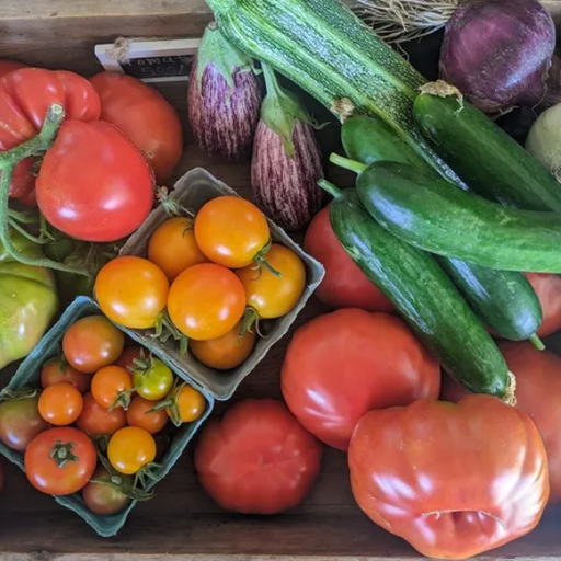 2026 Jembe U-Pick CSA