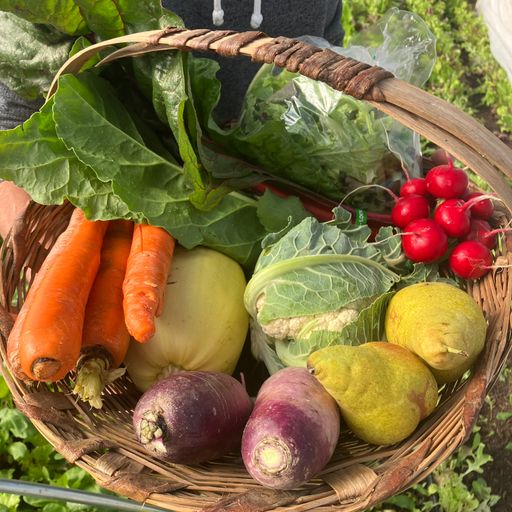 Folk's Farm Year Round Choose-Your-Own Share