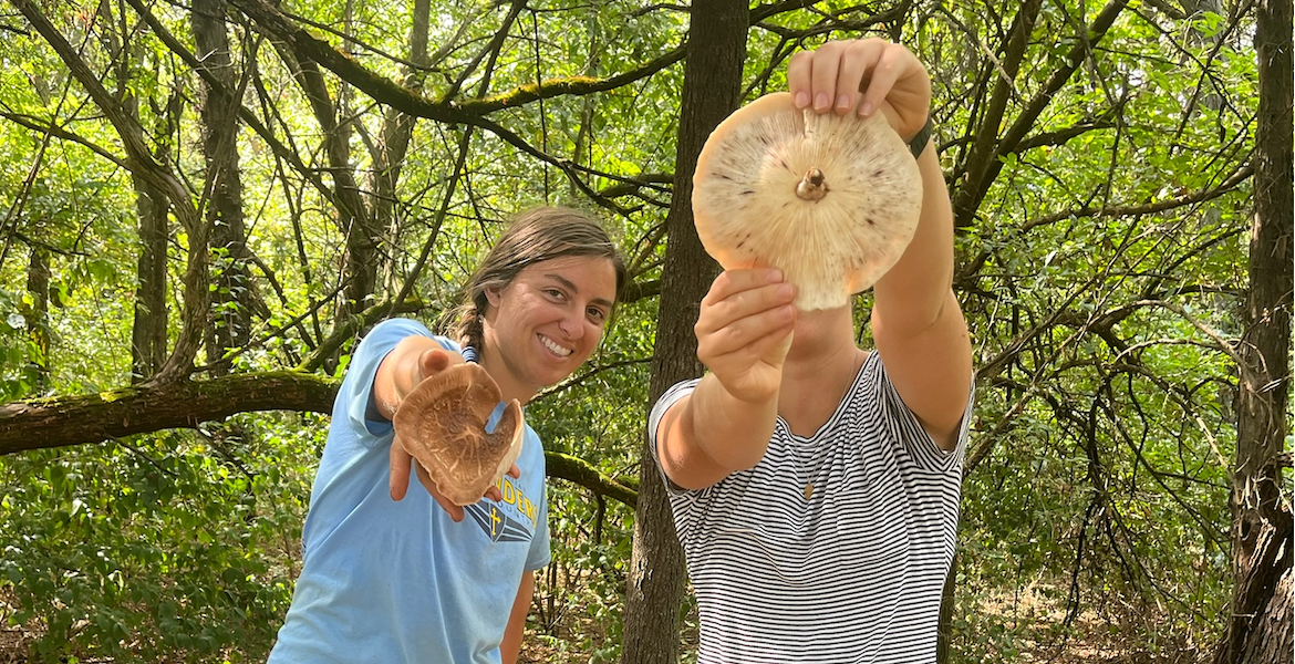 Foraging at the Farm!