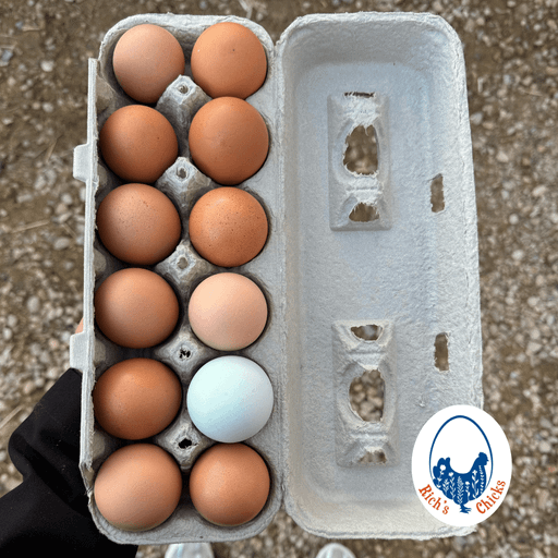 Rich’s Chicks Egg Add-on