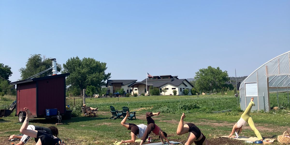 Wellness Day