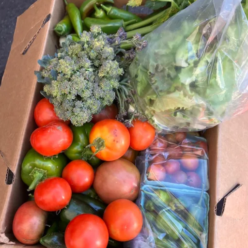 2026 Summer - Fall Veggie CSA