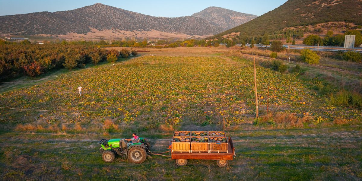 Fall Tractor Rides