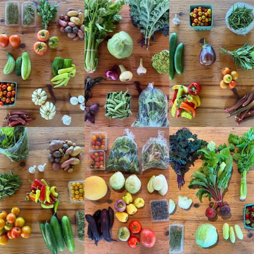 2026 Tenacious Agrarians Farmer's Choice CSA