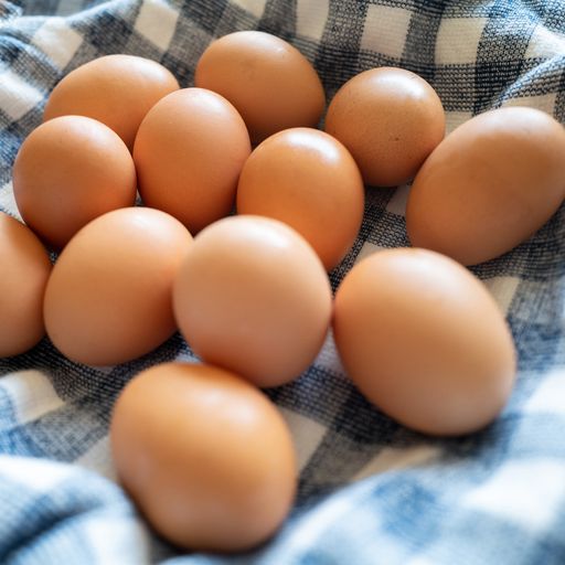 2026 Egg Add-On Share