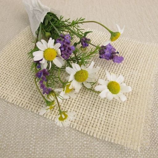 2026 Summer Flower Share