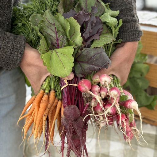 Treehouse Farm Year Round Produce Box