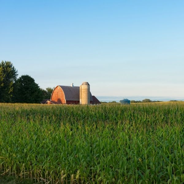 Farm Tour
