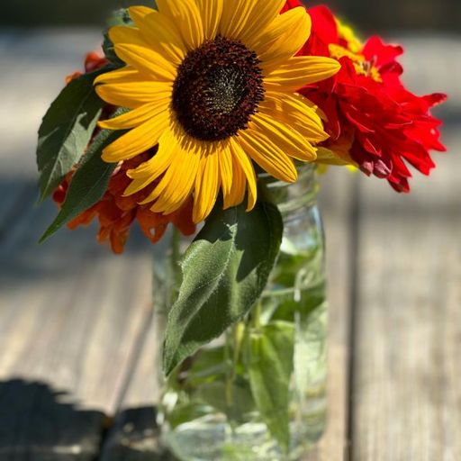 2025 Flower CSA