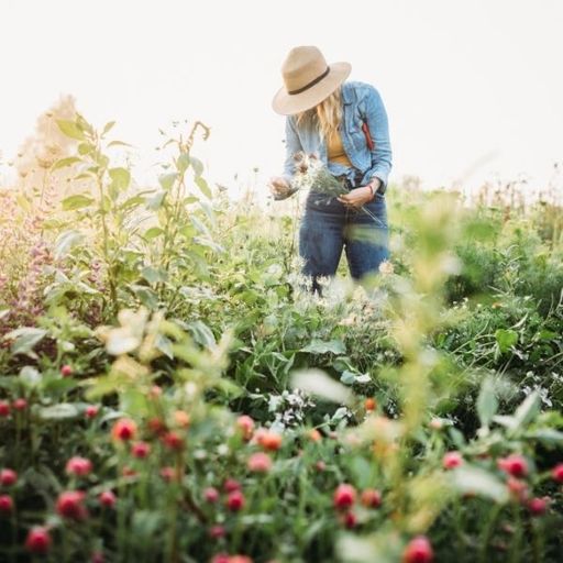 2026 Millsap Farms Workshare Buyout