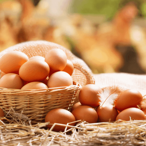 Farm Fresh Eggs