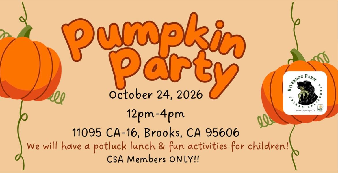 Annual Pumpkin Party!