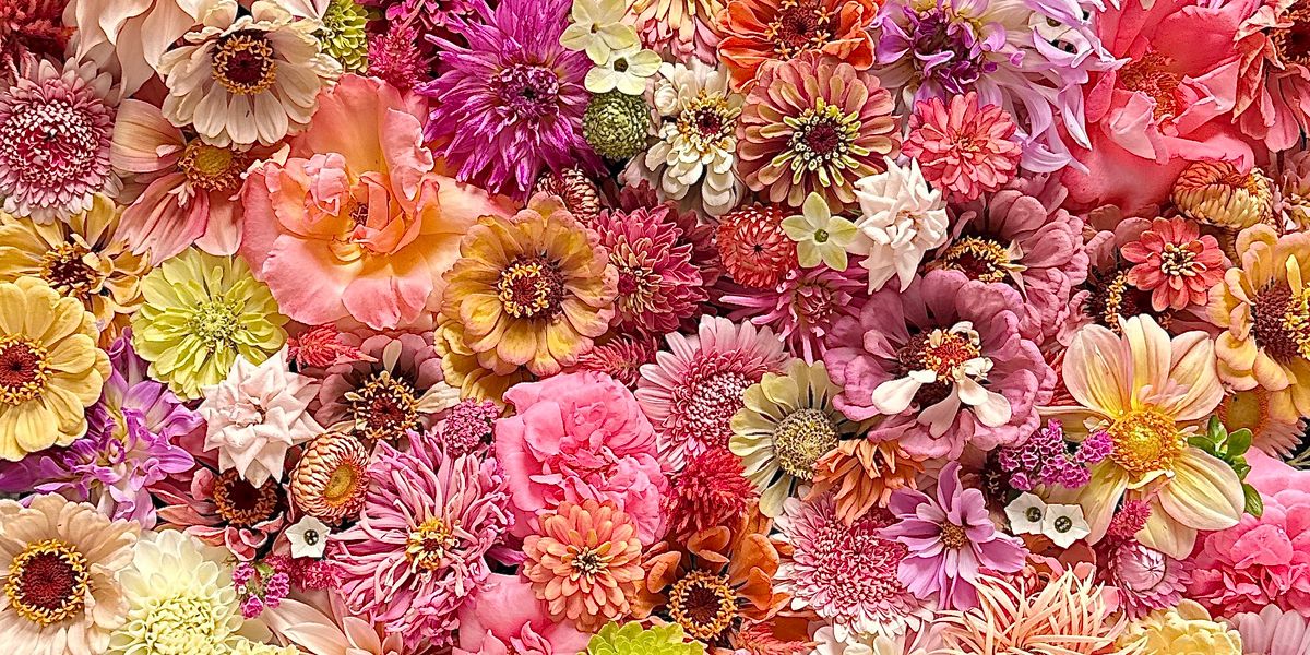 Taylor Family Farm Tour and Flower Bar
